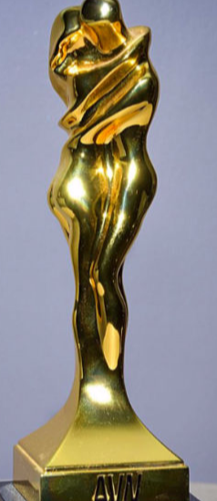 AVN Award